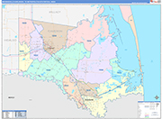 Brownsville-Harlingen Metro Area Wall Map Color Cast Style